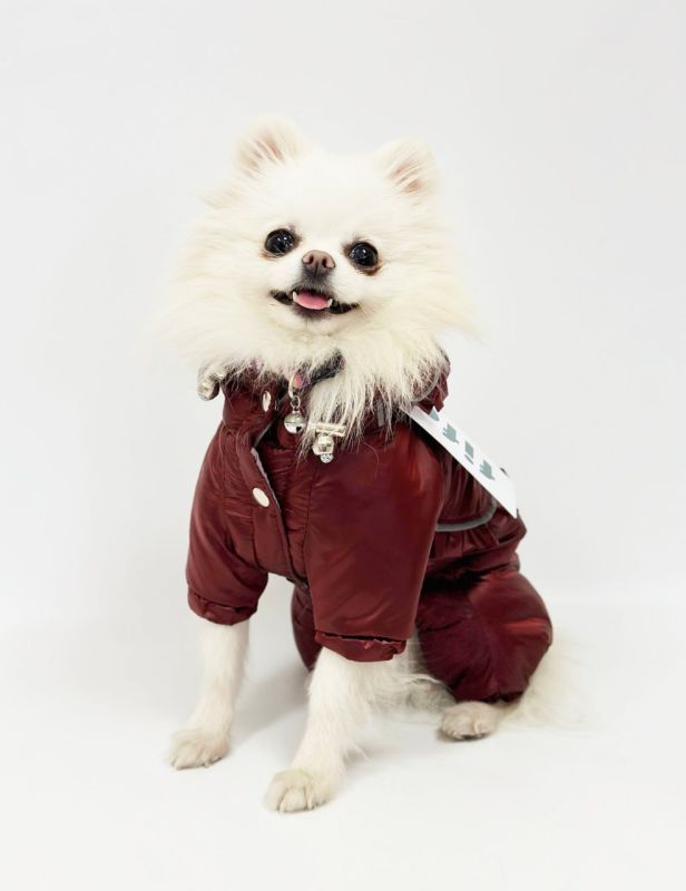 Комбінезон Принцеса на силіконі (дівчинка) S2