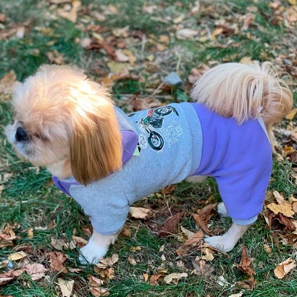 Комбінезон Байк трикотаж на флісі (хлопчик) М