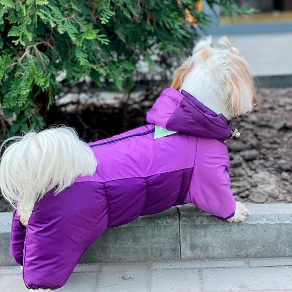 Комбінезон Волошка силікон (дівчинка) XS