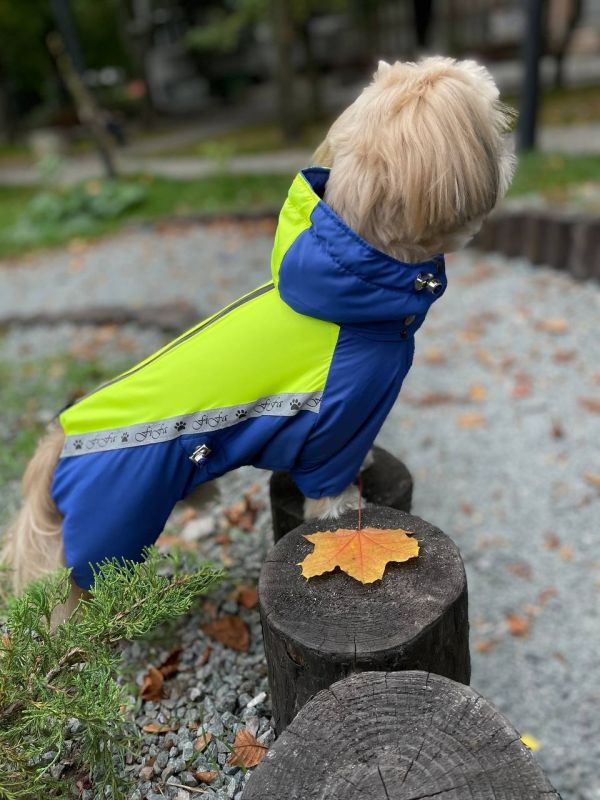 Промінь комбінезон для собак хлопчиків на силіконі S1