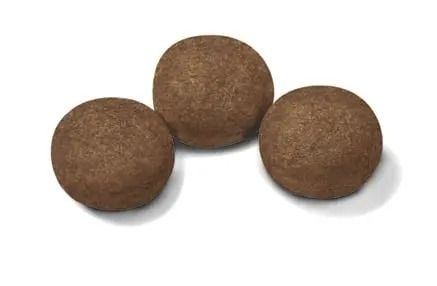 АКЦІЯ Royal Canin Medium Puppy сухий корм для цуценят середніх порід 12+3 кг 