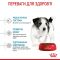 АКЦІЯ Royal Canin Mini Puppy сухий корм для цуценят дрібних порід 7+1 кг 