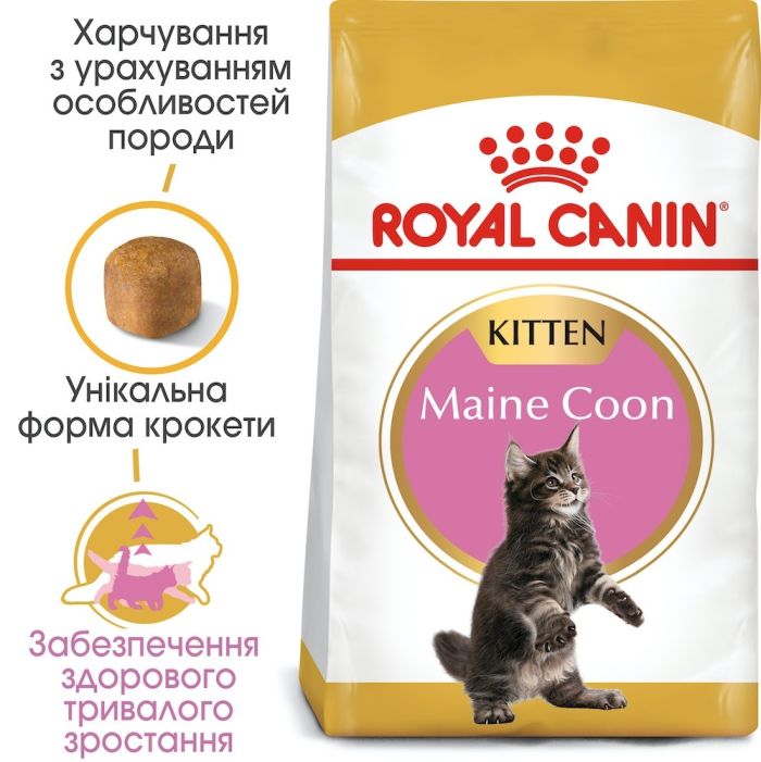 АКЦІЯ Royal Canin Maine Coon Kitten сухий корм для кошенят породи мейн-кун 2 кг + 12 паучів + схема 