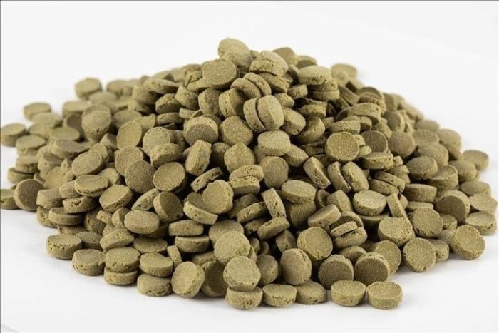 Акваріус Меню для анциструсов 40 г