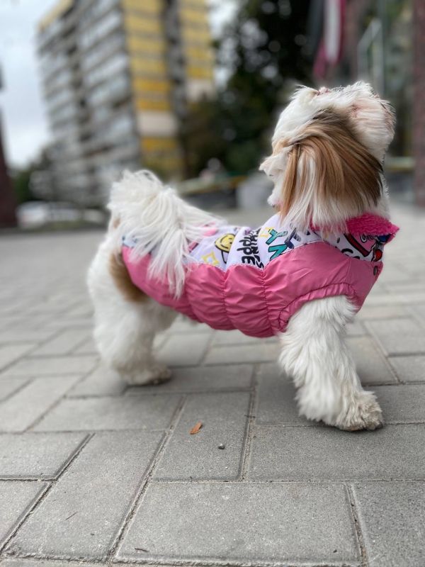 Марго жилет на овчині для собак дівчаток XXS