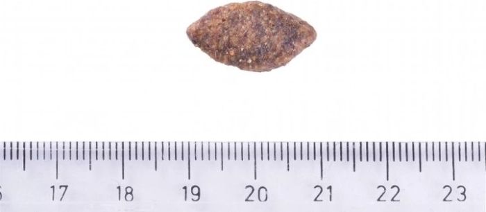 Brit, Сухий корм для собак  Brit Care Dog Grain-free Sensitive корм для собак з чутливим травленням беззерновим з олениною 12 кг