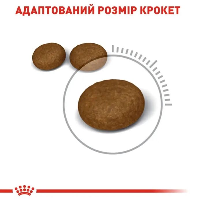АКЦІЯ Royal Canin Hair and Skin Care сухий корм для котів 8+2 кг 