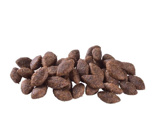 Brit Care Dog Sustainable Activity Корм для собак з підвищеною активністю з куркою та комахами 3 кг 