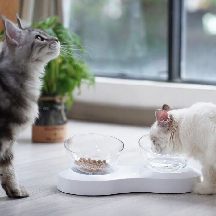 Миски на підставці Infinite Future 339,529,5 см