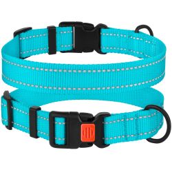 Нашийник для собак BronzeDog Блакитний пластиковий фастекс 1222 50Т 20мм (30-40см )