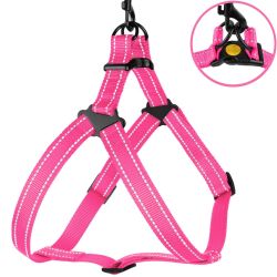 Шлея ACTIVE нейлонова зі світловідбиванням рожева 16мм Обхват Груди 40-53см