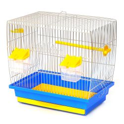 Клітина Кенар цинк, Лорі