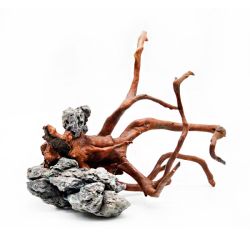 Коряга мангрова штучна, 29х20х21 см 