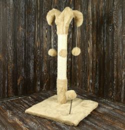 Когтеточка Арлекін, сизаль трояндовий