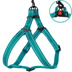 Шлея для собак BronzeDog Бірюза пластиковий фастекс 1225 70Т 16мм (40-53см)
