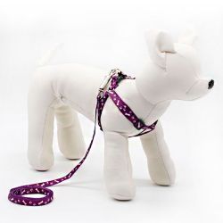 Комплектт Кісточка з лапками стрічка 