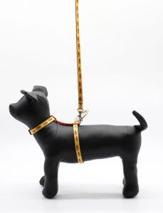 Комплект Franty для гризунів. Лапка Червоно-жовта 12-22  22-35 см. 