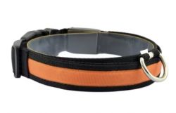 Нашийник USB нейлон Білий S 2,5 см. 34-41 см. Помаранчевий