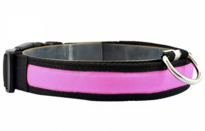 Нашийник для собак, рожевий нейлоновий з USB, 2,5 см  41-52 см Рожевий.