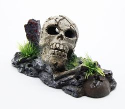 Череп з кістками S 1368 см