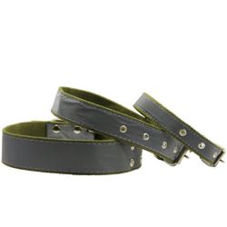 Нашийник брезент одинарний світловідбиваючий 31-45 см