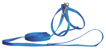 Шлея вісімка з повідцем капрон 20-40см, 32-40см довжина повідця 130см Синій