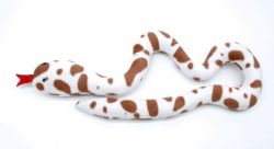 Змійка з котячою мятою 