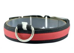 Нашийник USB нейлон M 2,5 см. 37-46 см. Червоний