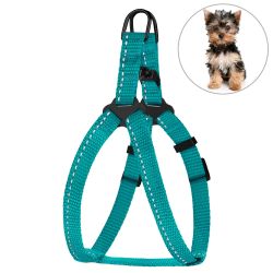 Шлея для собак BronzeDog Бірюза пластиковий фастекс 1225 68Т 10мм (24-30см)