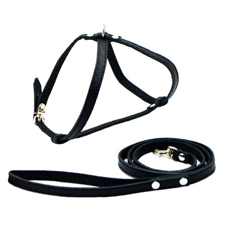 Набір шлейка вісімка з шкіряним повідцем строчений з підкладом Чорна