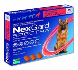 Nexgard Spectra (Нексгард Спектра) - таблетки для собак від бліх і кліщів XL 30-60кг 1 таблетка