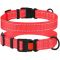 Нашийник для собак BronzeDog Корал пластиковий фастекс 1224 51Т 25мм (35-53см)