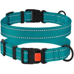 Ошейник для собак BronzeDog бирюза пластиковий фастекс 1225 50Т 20мм (30-40см)