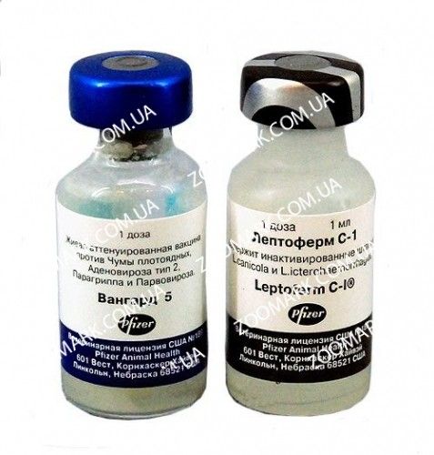 Вангард 5  L вакцина для собак Вангард 54L