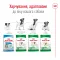 Royal Canin WET MINI ADULT для собак дрібних порід 85 г