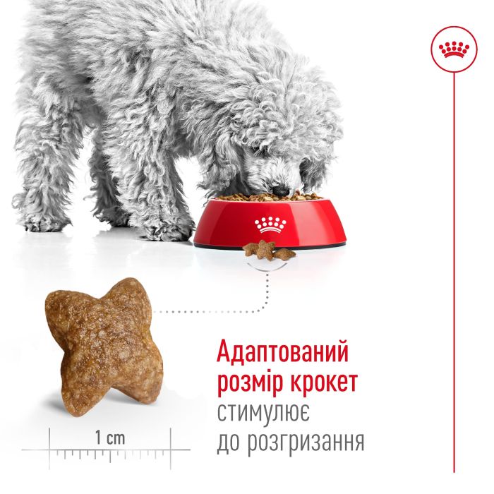 Royal Canin WET MINI ADULT для собак дрібних порід 85 г