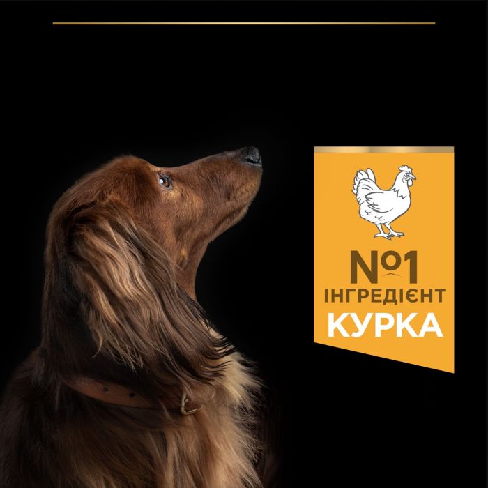 Purina Pro Plan Small Adult Mini сухий корм для собак з куркою 700 г 