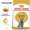 Royal Canin British Shorthair (Роял Канін) 34 для кішок породи Британська короткошерста старше 12 місяців 400 г
