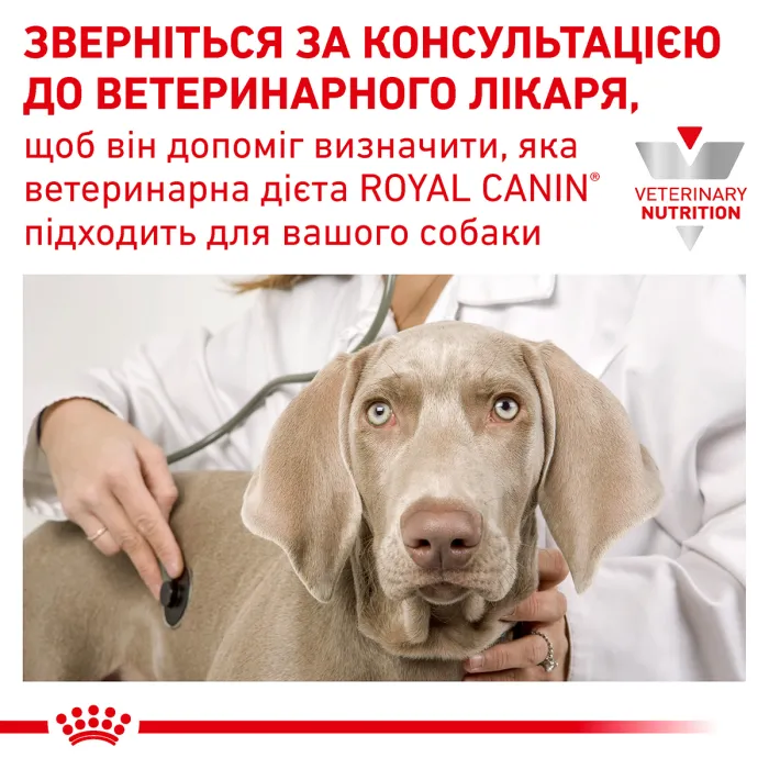 Royal Canin C Diabetic DOG сухий корм для собак 12 кг