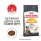 Royal Canin Hair  Skin 33 (Роял Канін Хеїр енд скін) для кішок з проблемною шерстю і чутливою шкірою 10 кг