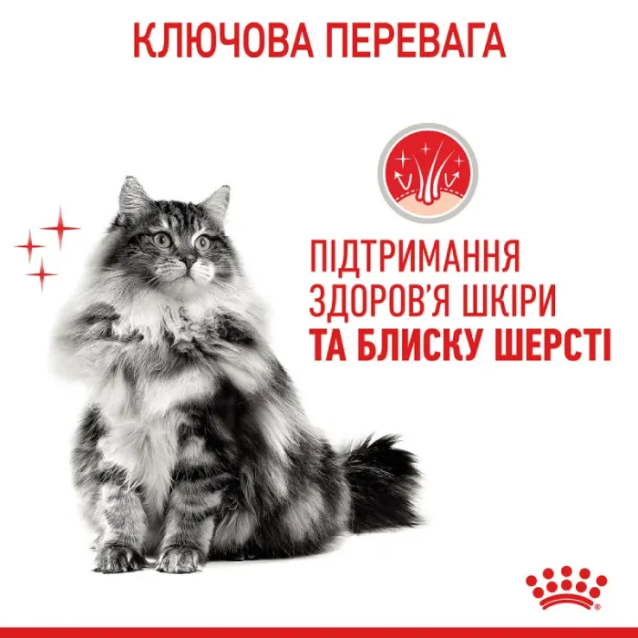 Royal Canin Hair  Skin 33 (Роял Канін Хеїр енд скін) для кішок з проблемною шерстю і чутливою шкірою 2 кг