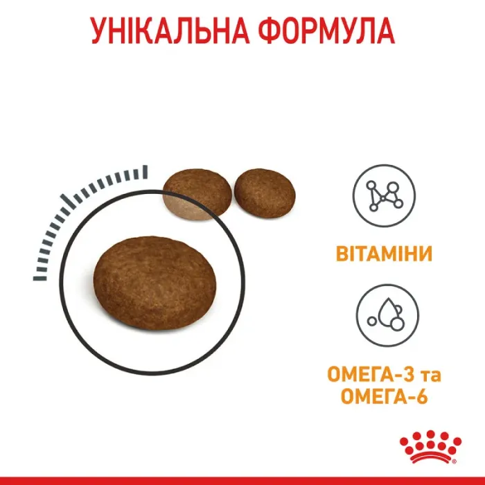 Royal Canin Hair  Skin 33 (Роял Канін Хеїр енд скін) для кішок з проблемною шерстю і чутливою шкірою 2 кг