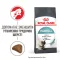 Royal Canin Intense Hairball (Роял Канін Хейрболл) 34 для кішок 10 кг