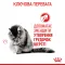 Royal Canin Intense Hairball (Роял Канін Хейрболл) 34 для кішок 2 кг