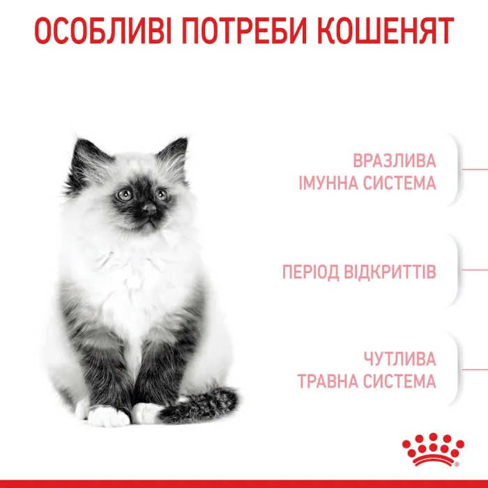 Royal Canin Kitten 36 для кошенят (Роял Канін Кіттен) від 4 до 12 місяців 4 кг