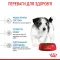 Royal Canin (Роял Канін) Mini Puppy цуценята від 2 до 10 місяців 4 кг