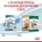 Royal Canin (Роял Канін) Mini Puppy цуценята від 2 до 10 місяців 800 г