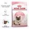 Royal Canin Mother and Babycat 34 (Роял Канін Мазер енд Бебікет) для кошенят від 1 до 4 місяців Акція 1,6 кг + 400 г