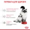 Royal Canin Mother and Babycat 34 для кошенят акція 400г + 400г 