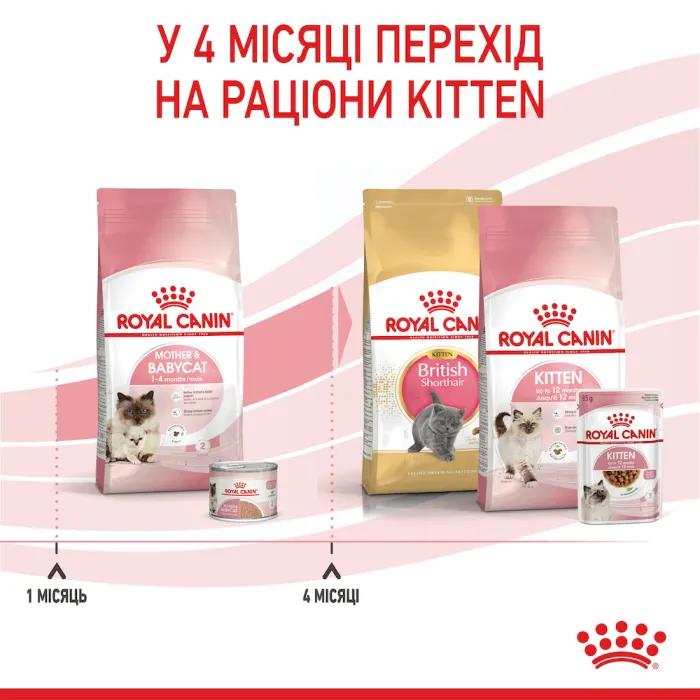 Royal Canin Mother and Babycat 34 (Роял Канін Мазер енд Бебікет) для кошенят від 1 до 4 місяців Акція 1,6 кг + 400 г